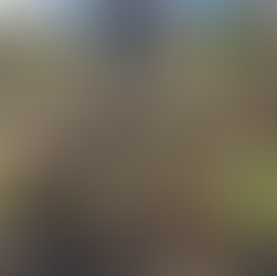 11-03-2025 Harvest Days 03