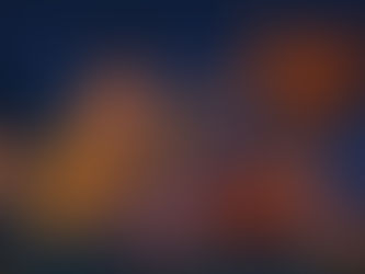 Dion and Luke Capturing Chickens