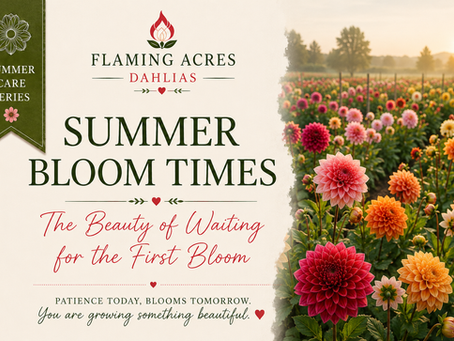 Summer Bloom Times