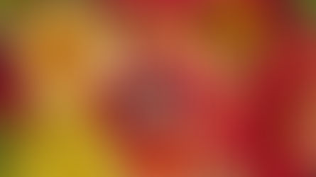 🍂 Falling for Dahlias