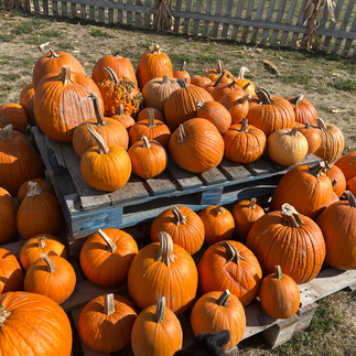 Flaming Acres Farm Pumpkins