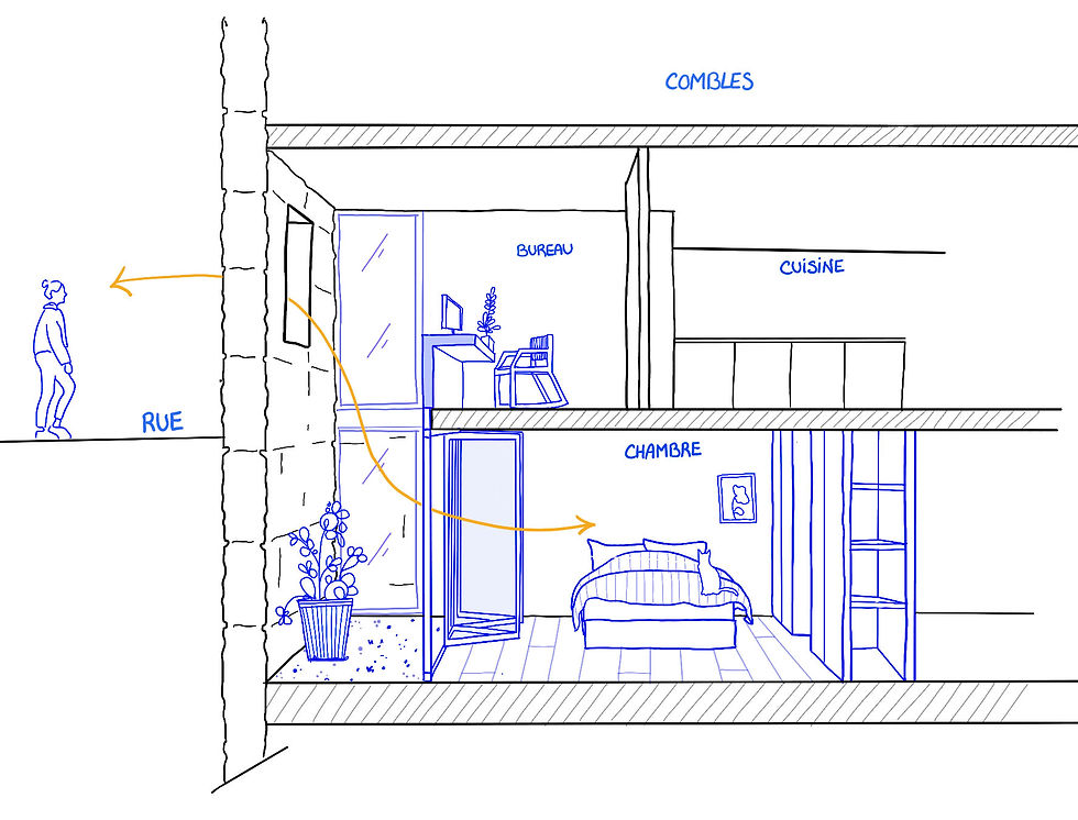 Coupe perspective copie.jpg