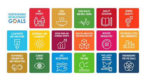 UN SDG 1538140988.jpg