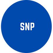 SNP.png