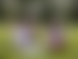 What to Do This Summer to Maximize Your Chances of Getting Into TJHSST