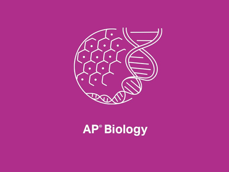 Guide to the AP Biology Exam (2025)