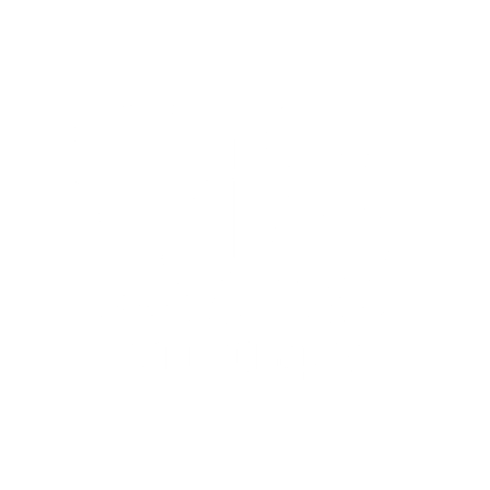 hassan samy logo 004 W.png