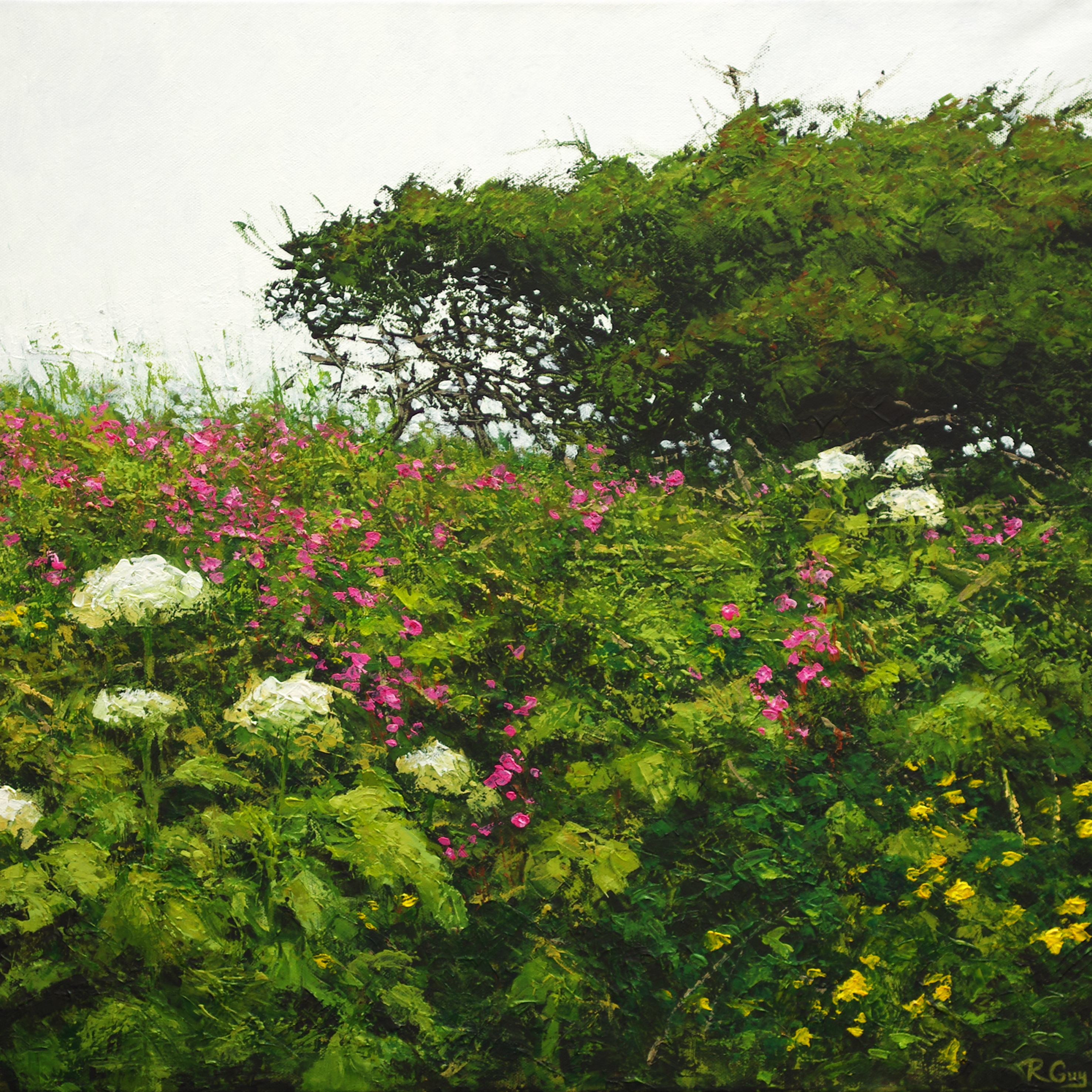 Cornish Hedgerow