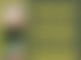 Actualité de Caroline DELPEYROU en  ce début 2026