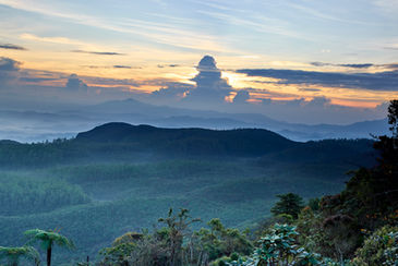 Pattipola Horton Plains, Monaragala Gebirge, Hochland von Sri Lanka, Sri Lanka, Pattipola