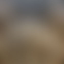 Many foundations piles on the construction site to be tested