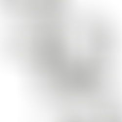 Boostez votre année avec le planner 2025 conçu pour les entrepreneurs ambitieux !