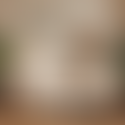 Rénover un bien ancien - Atelier d'Architecture Anne-Gaelle VIAL