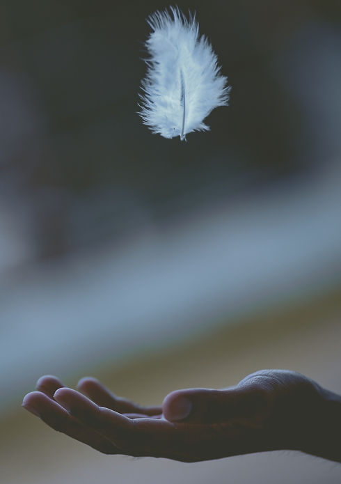 shallow focus photography of white feather dropping in person's hand_edited.jpg