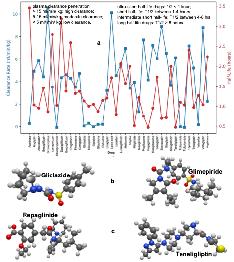 Figure 5: Predicted excretion rate of type 2 diabetes drugs. (a) Excretion descriptors showing clearance rate and half-life. (b) Gliclazide and Glimepiride have low CLplasma, and (c) Repaglinide and Teneligliptin are ultra-short half-life type 2 antidiabetic drugs. See Figure 3 for atom legends.