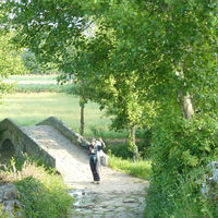 p1010340