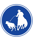 7.png