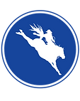 8.png