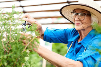 Spring into Comfort: Live-in Care at Home in New Jersey with Amorycare Homecare