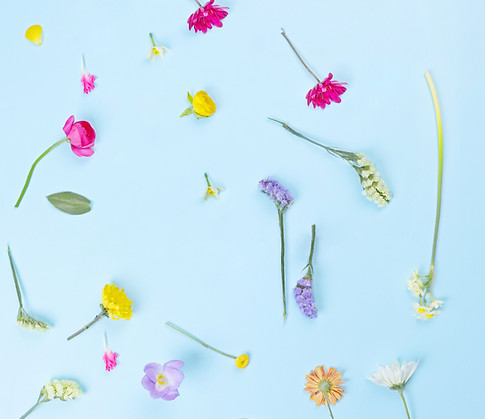 Flower Composition