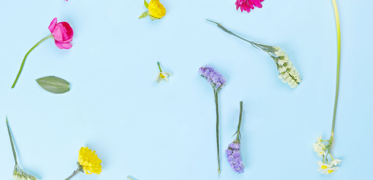 Flower Composition