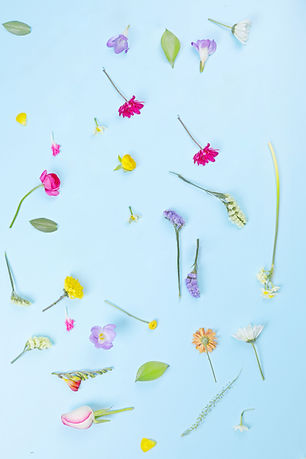 Colorful Flower Arrangement