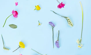 Flower Composition