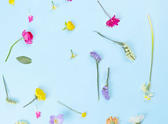 Flower Composition