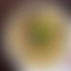 One Pot Creamy Mushroom Stroganoff