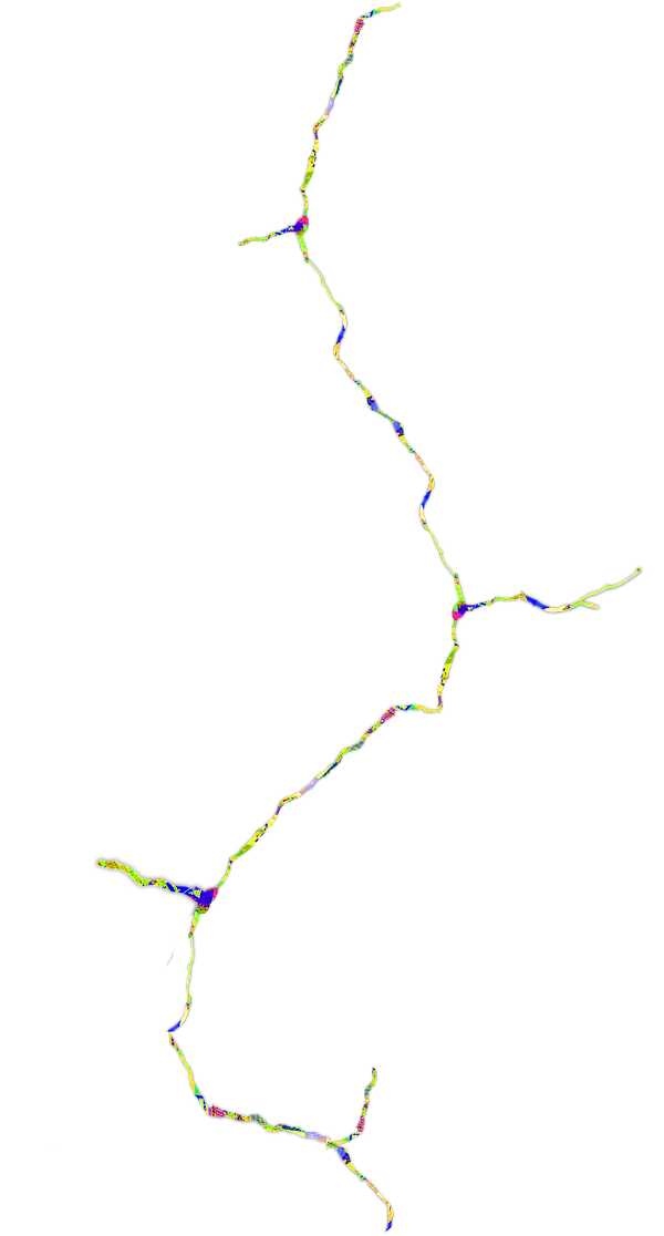 Long Crack NB.png