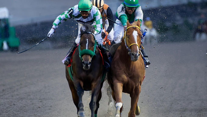 LXXX DERBY MEXICANO (GI) 3° Gema