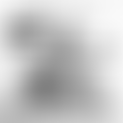 Free Movies: Pusher Trilogy