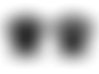 Shop update 30/05/25