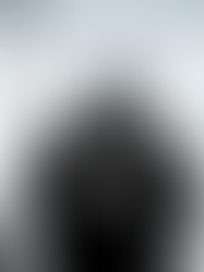 Shop updated (Restock)