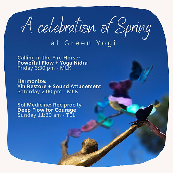 Sol Medicine, Renewal, Popups (Instagram Post) (34).png