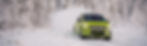 tło wyszukiwarki skoda.jpg