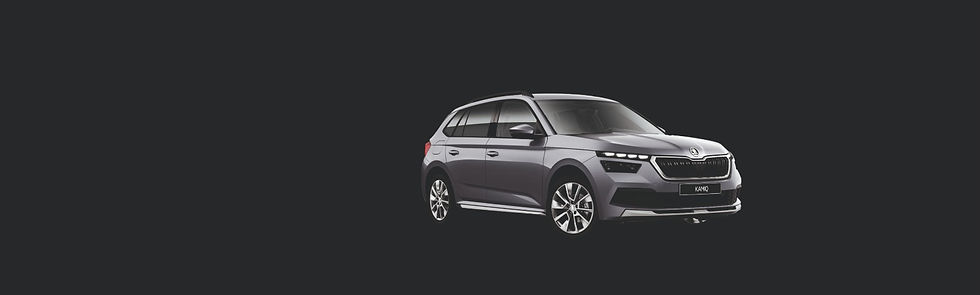 TŁO KAMIQ_edited.jpg