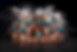 IMG_1442.jpeg
