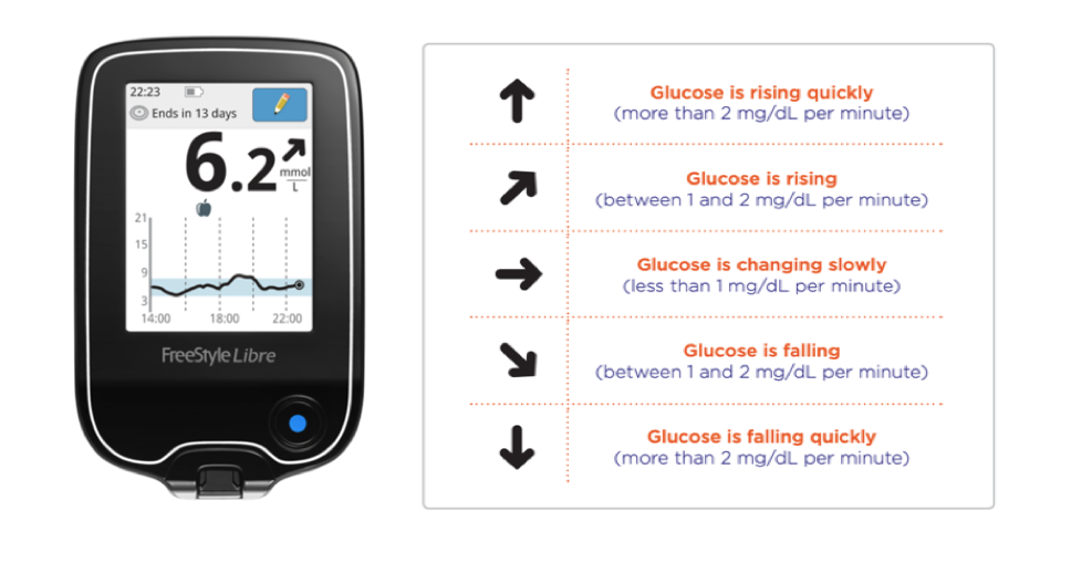 Freestyle Libre 2 User Guide Pdf