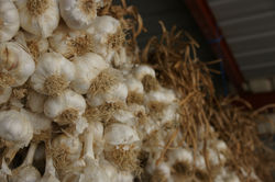 ail