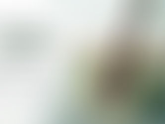 Microbiome and Hair Loss: A 2026 Study Suggests Scalp Microbiome May Play a Role Androgenetic Alopecia