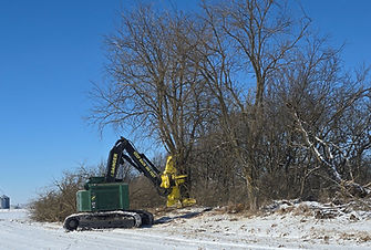 20250213_112817_edited.jpg