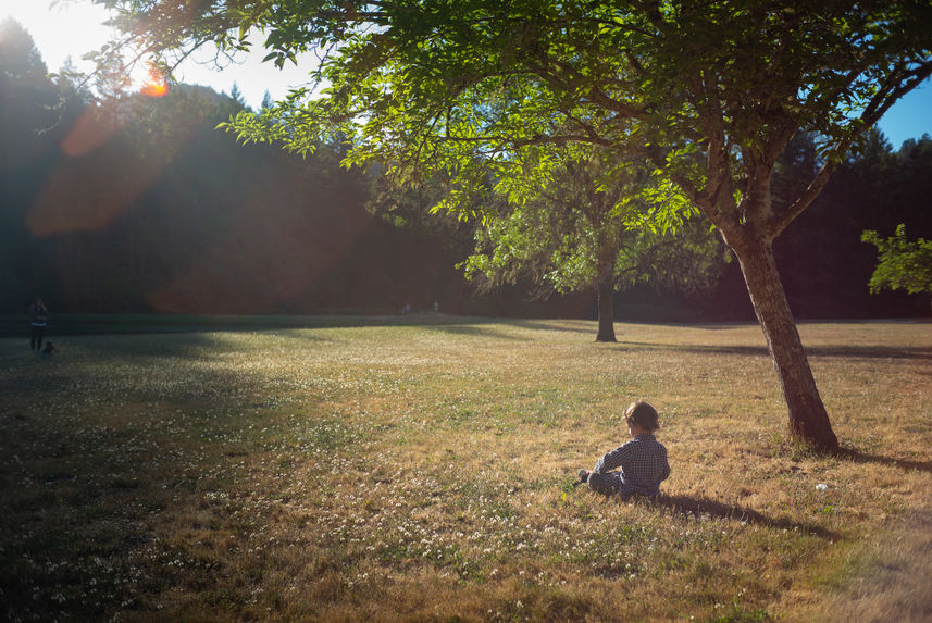 child under tree in the summer