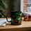 Thumbnail: Red Eyed Tree Frog Black Ceramic Mug