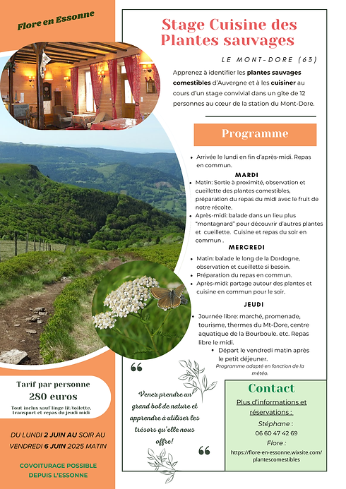Week-end(1).png