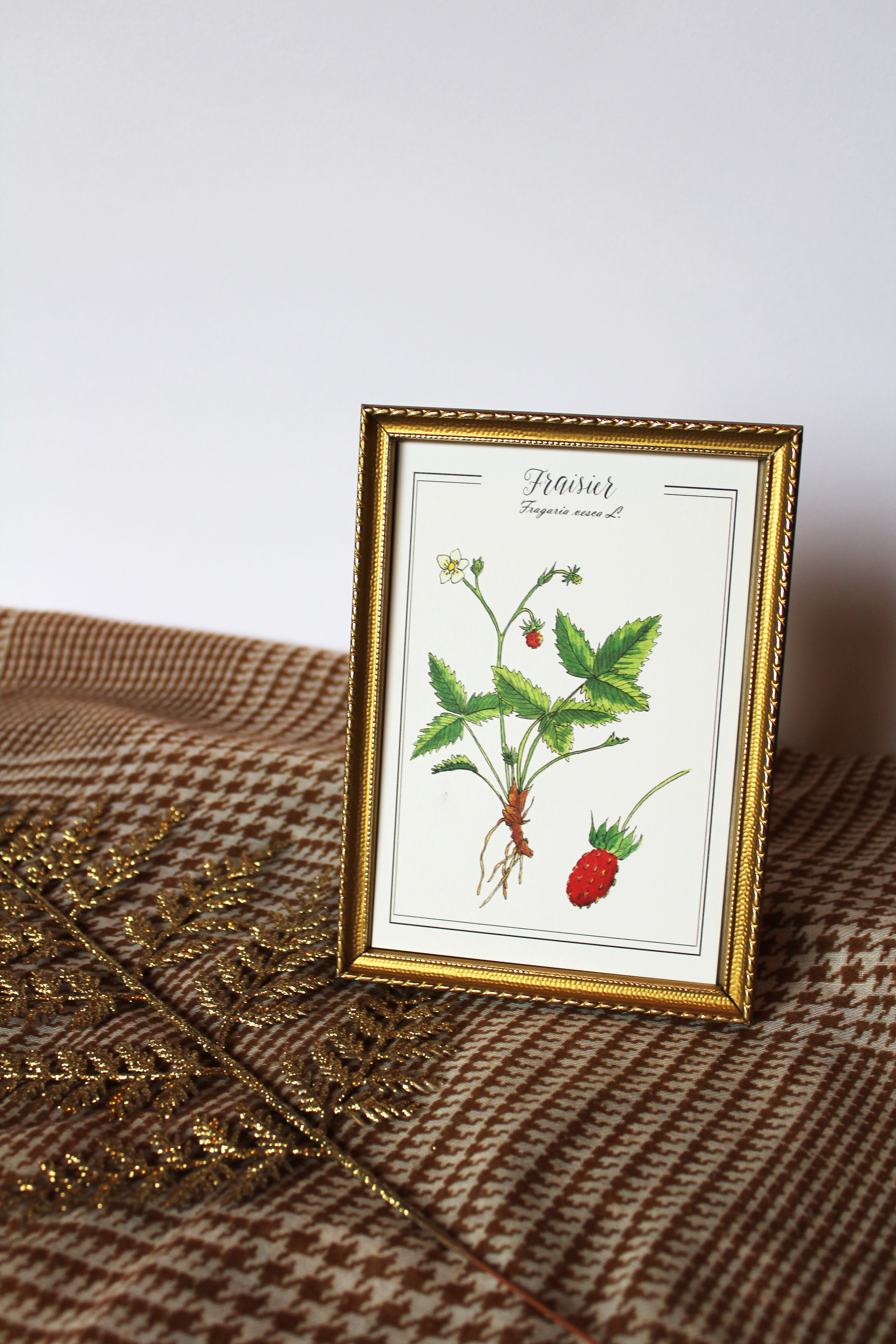 Carte illustrée botanique représentant un fraisier à l’aquarelle, avec enveloppe assortie.