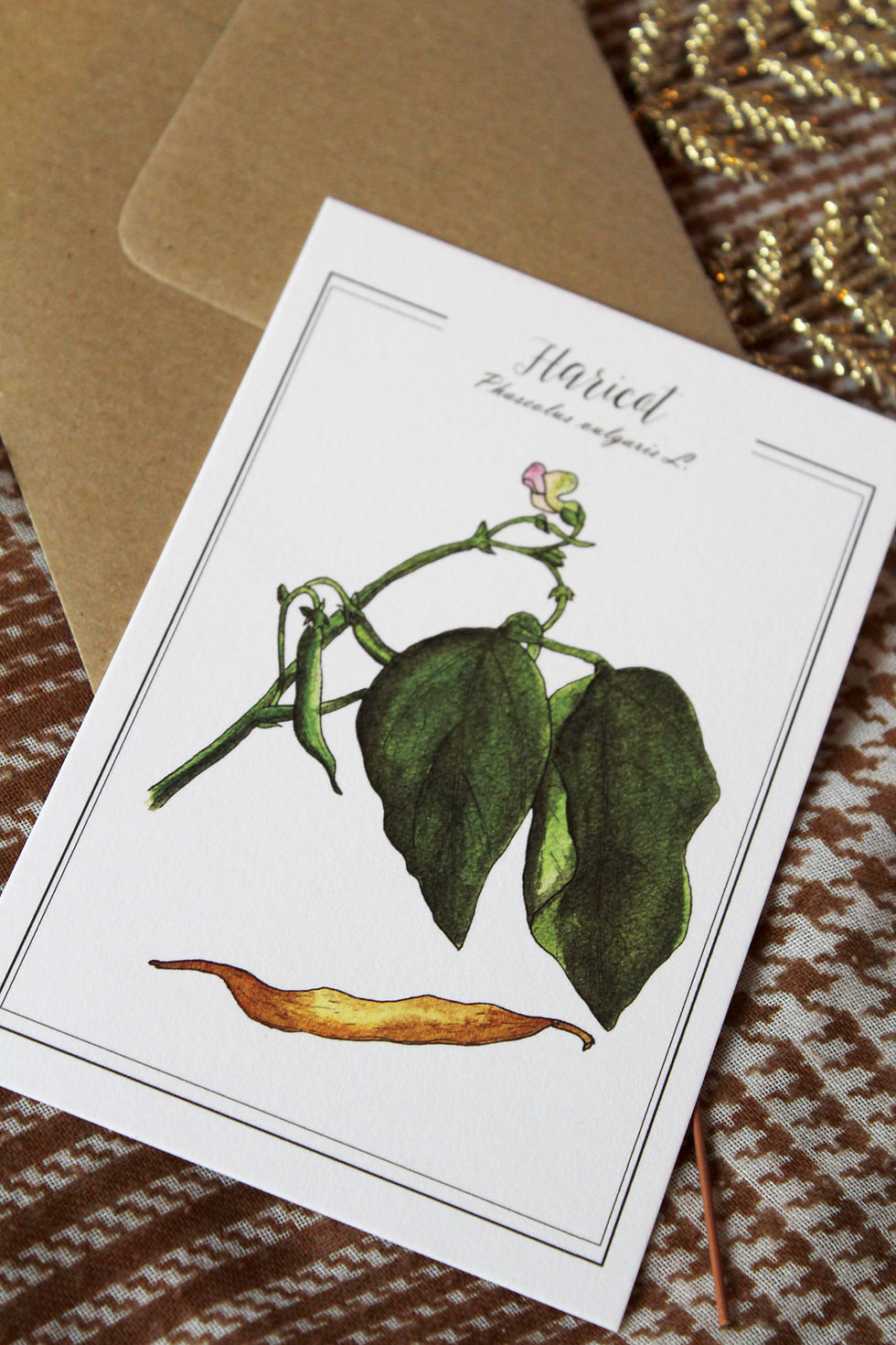 Miniature : aquarelle botanique haricots verts