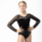 Black long-sleeve leotard with sheer sleeves and sweetheart bodice panel.