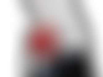 CONOZCA NUESTRO MOLINO MÁS VENDIDO