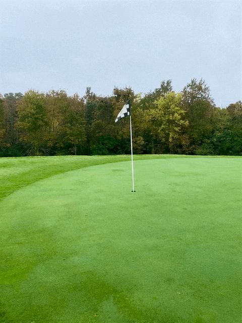IMG-0343.GIF